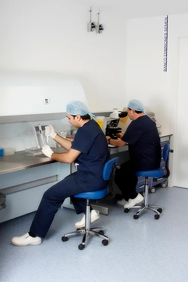 FIV Valencia — photo 4