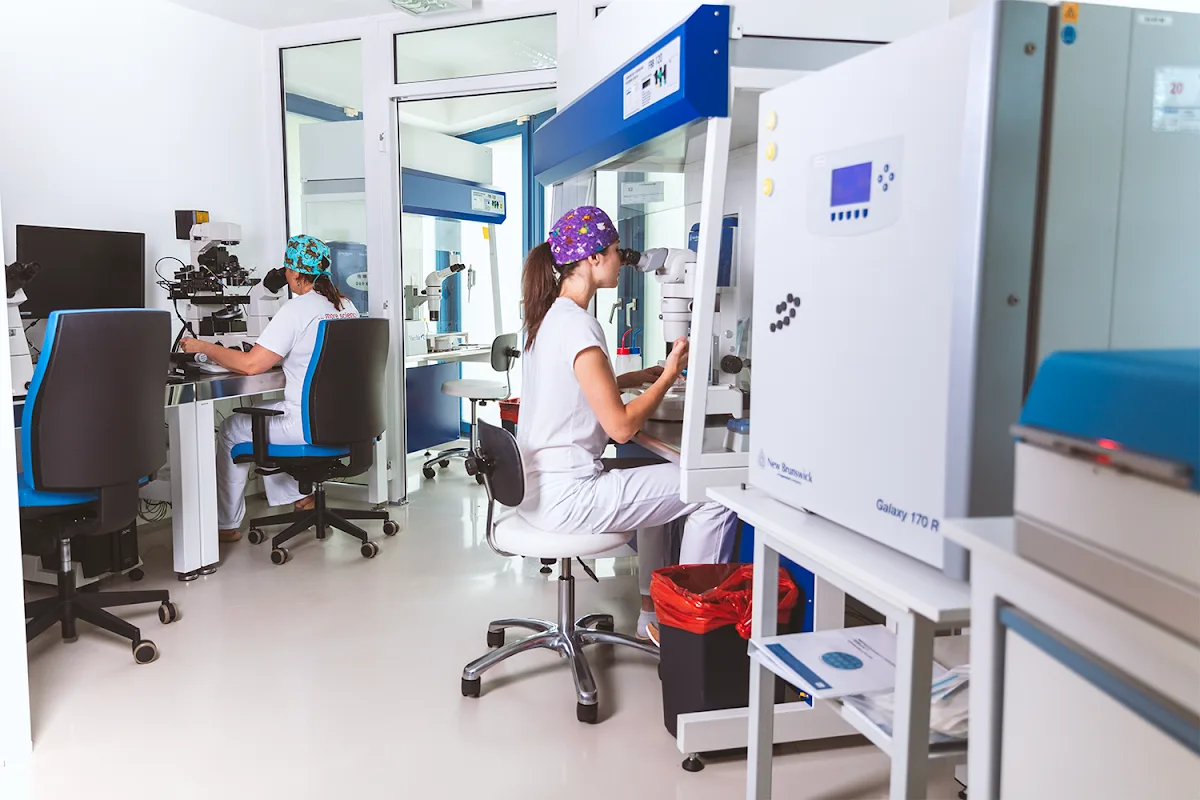 EUROPE IVF International Ltd. — photo 4