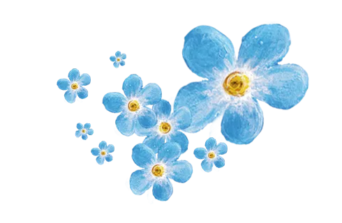 Fertility Clinic INVICTA