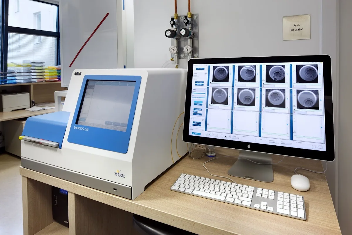 GENNET Prague 1 — photo 5