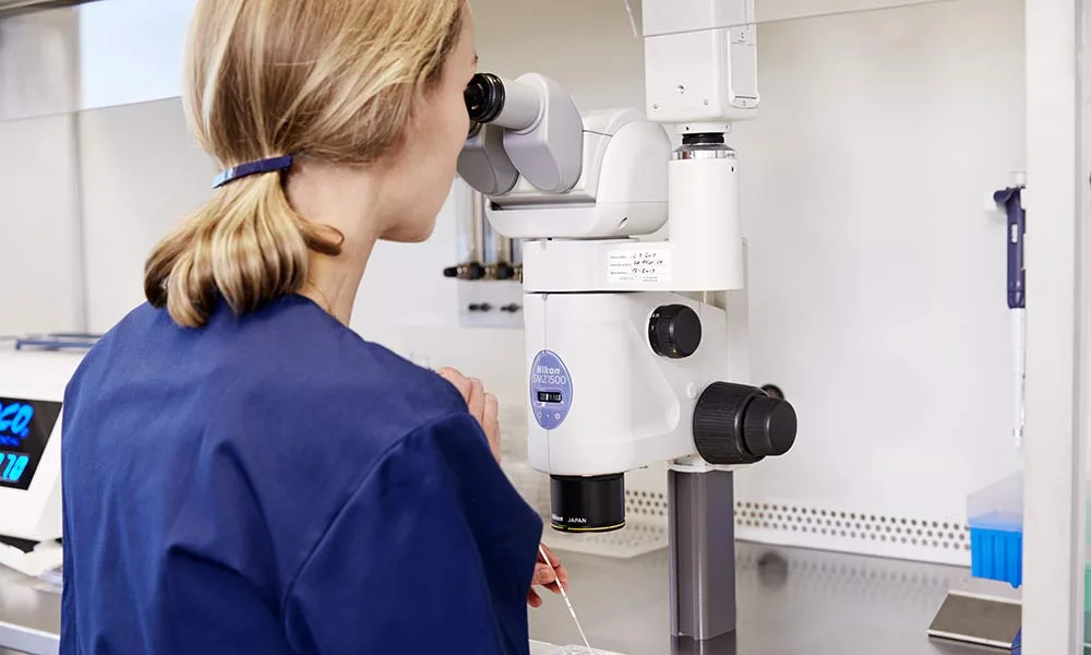 TFP Ciconia Fertility — photo 3