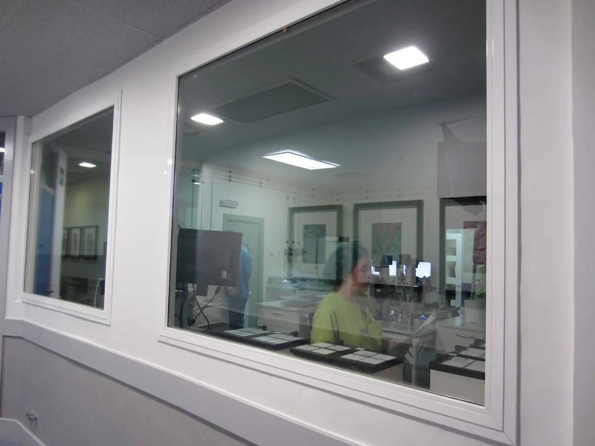 Ginemed Sevilla — photo 4