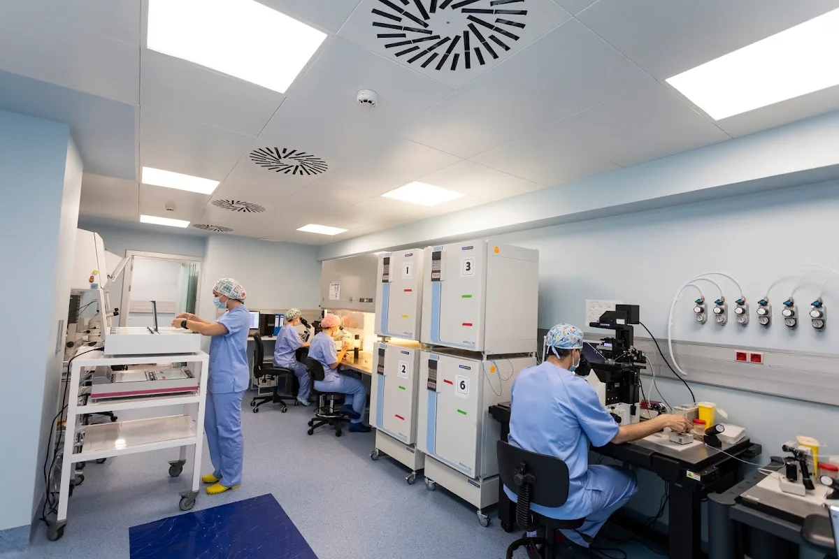 Minifiv - Clínica de Fertilidad y Reproducción Asistida — photo 3