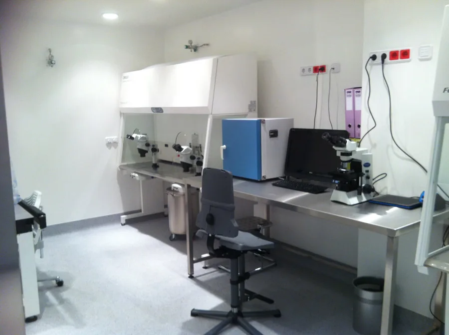 Clínica Ana Fernández | Reproducción Asistida y Fertilidad — photo 3