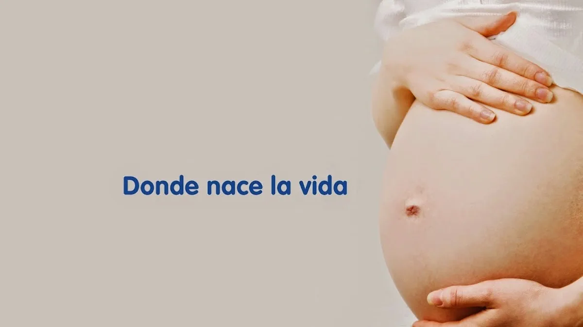 IVI Castellón - Clínica de Reproducción Asistida y Fertilidad — photo 4