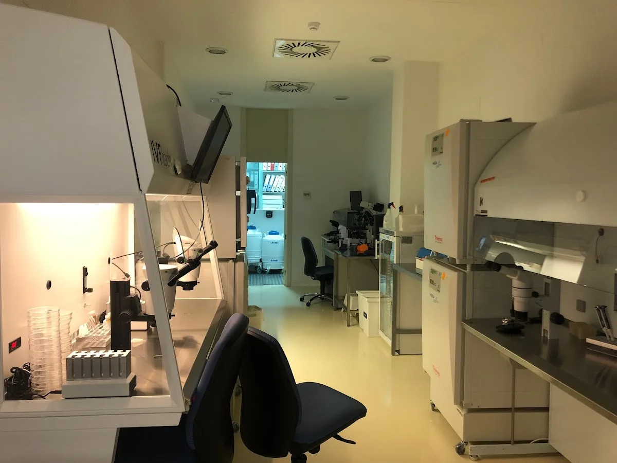 Next Fertility Murcia - Clínica de Reproducción Asistida y Fertilidad — photo 5