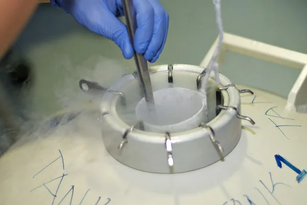 Novafertility . Clínica de Ginecología, Fertilidad y Reproducción Asistida. — photo 5