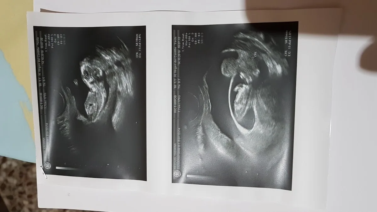 Clínica EVA Fertilidad y Reproducción Asistida — photo 5