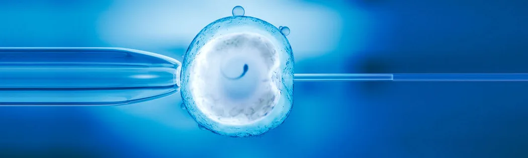Boston IVF — photo 4