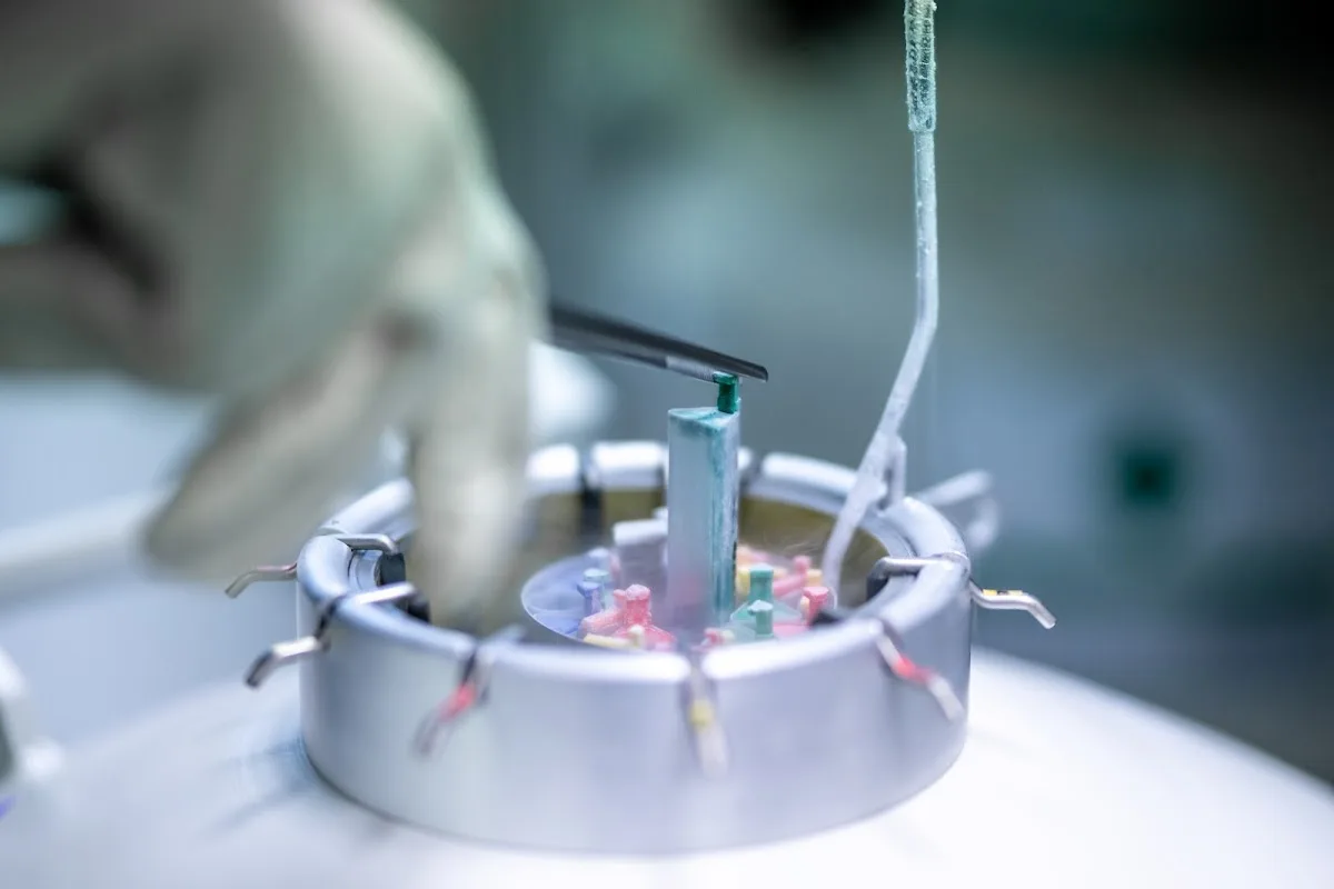 Kinderwunschzentrum Magdeburg — photo 3