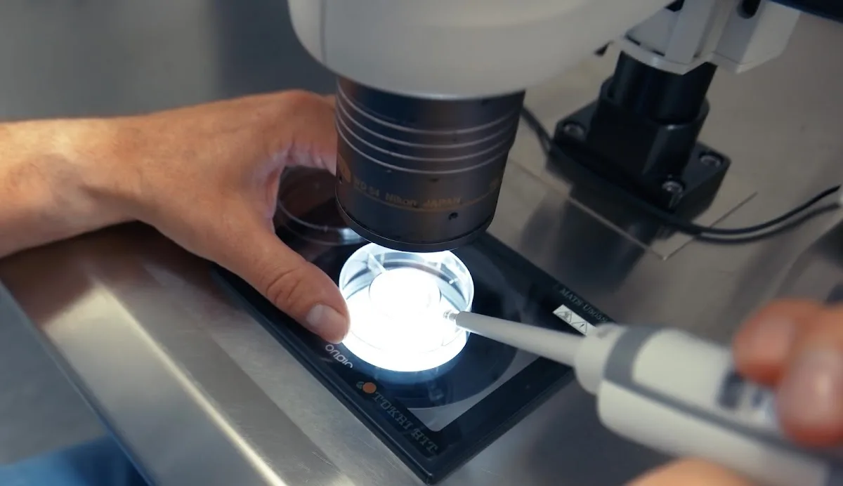 Livio Gärdet — photo 4