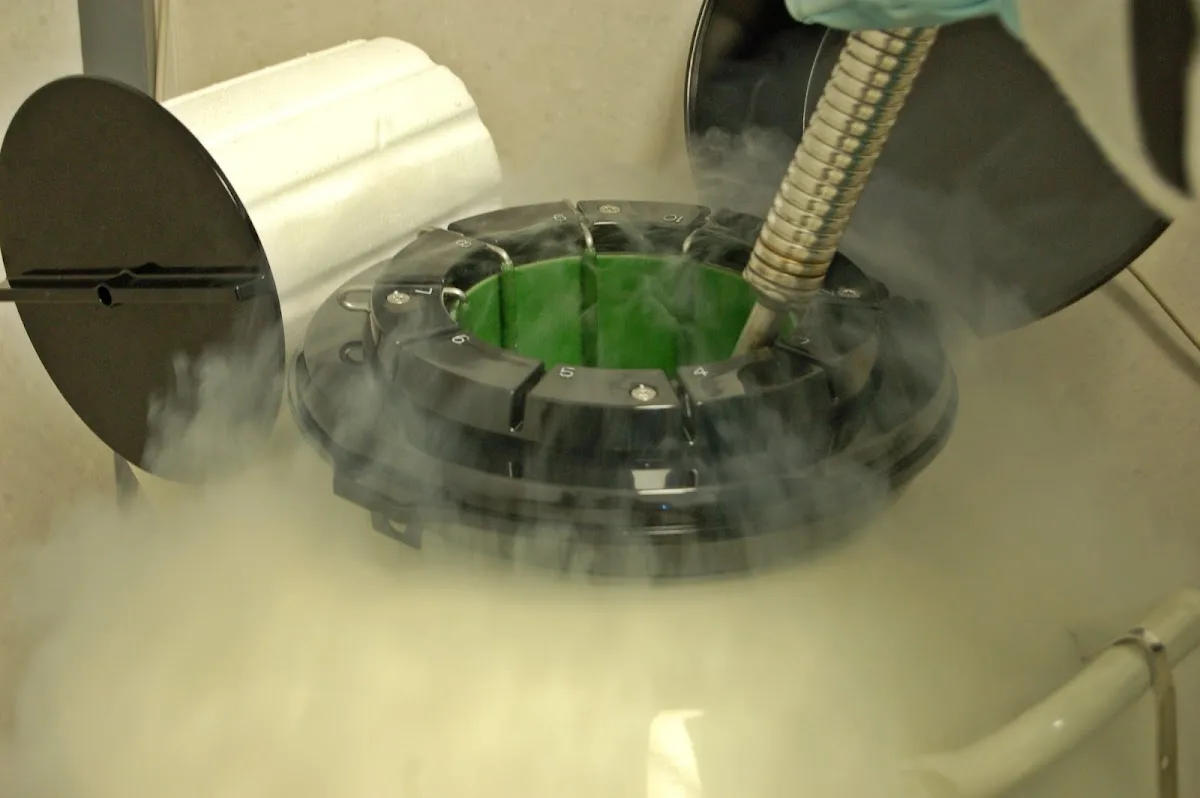 Medical IVF center NEOVITRO — photo 4