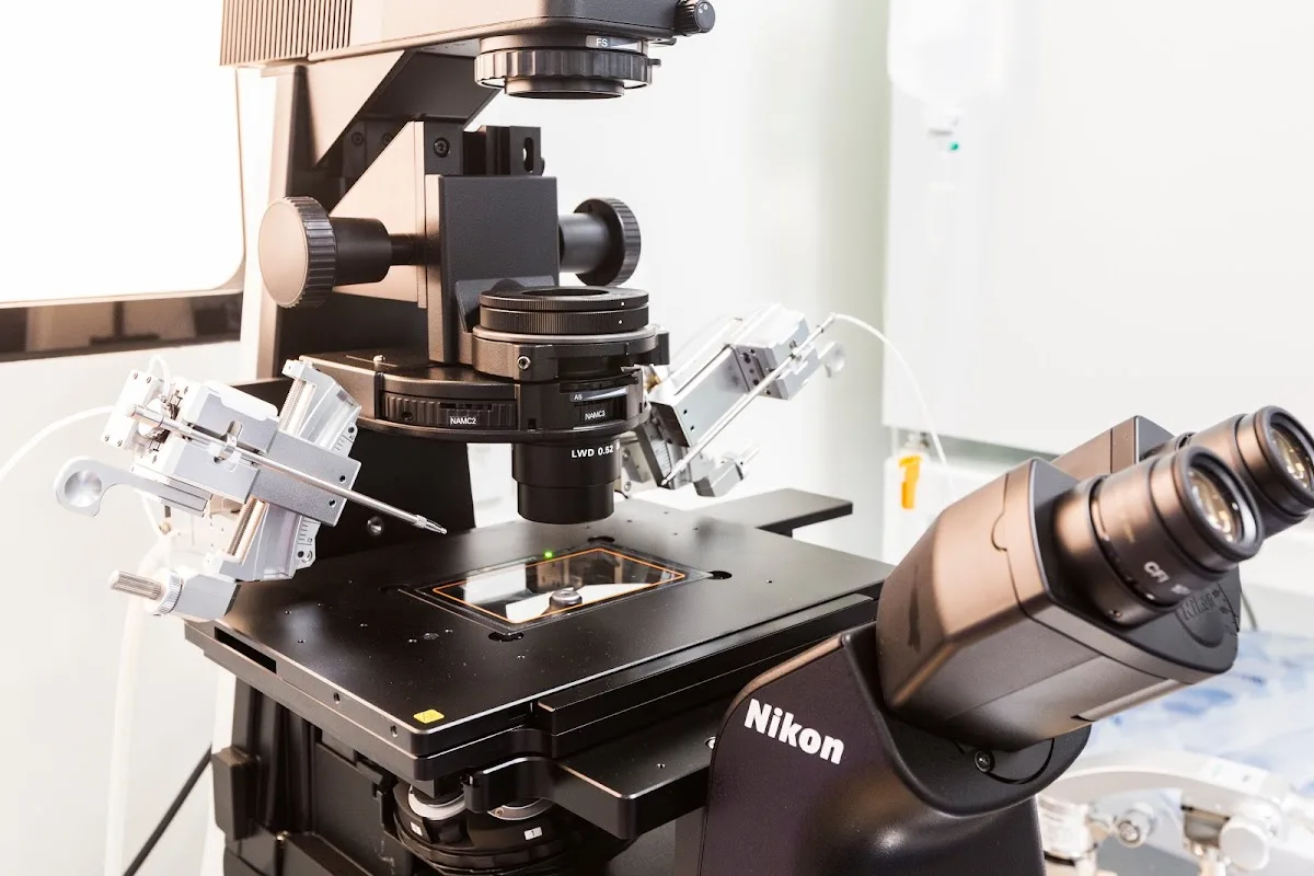 Reproducción Bilbao — photo 2