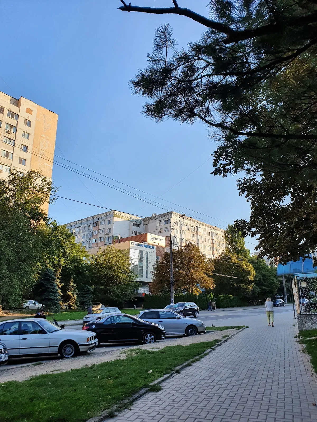 Repromed — photo 5