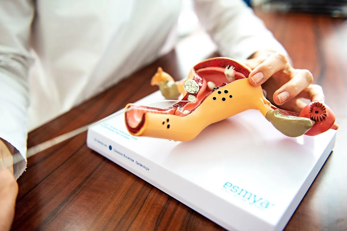 Kinderwunschzentrum Ludwigshafen - Dres. med. Schmidt — photo 5