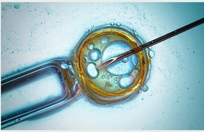 AFA IVF CONSULTANTS.