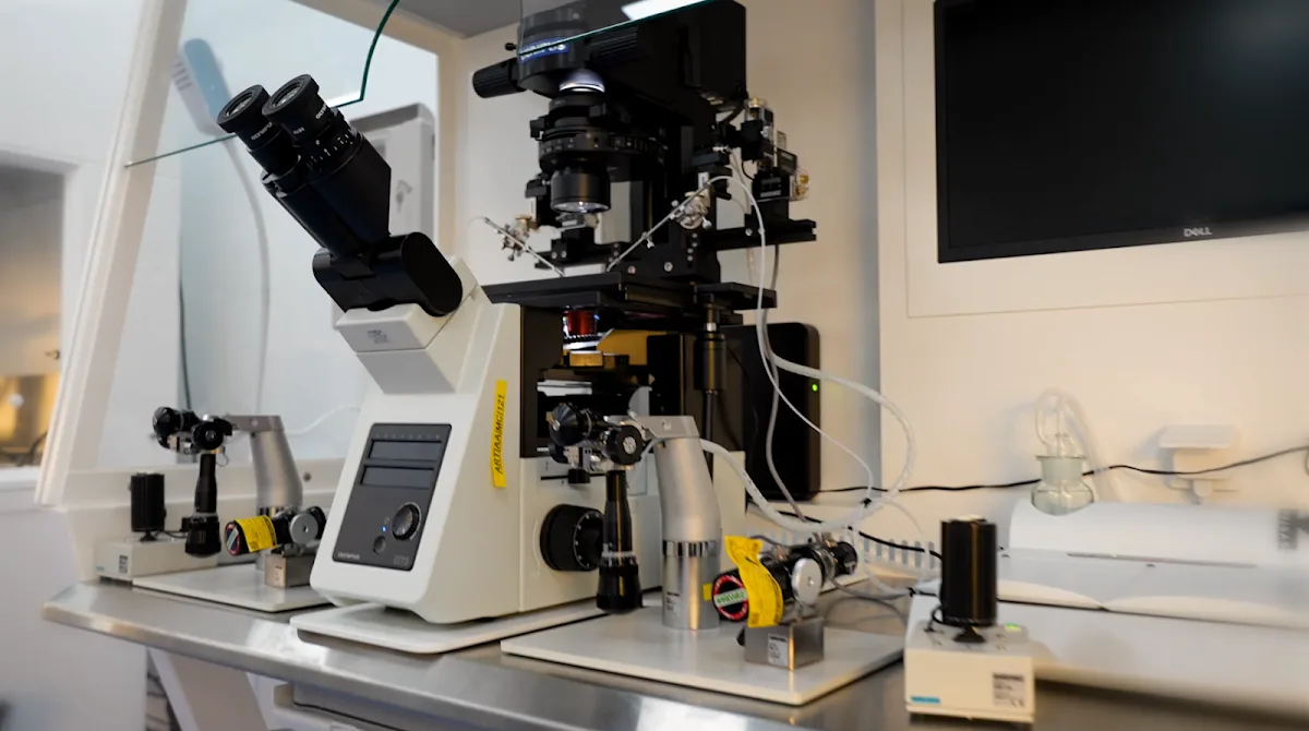 ART Fertility Clinics | Best IVF &amp; Fertility Clinic, AL Ain, UAE — photo 2