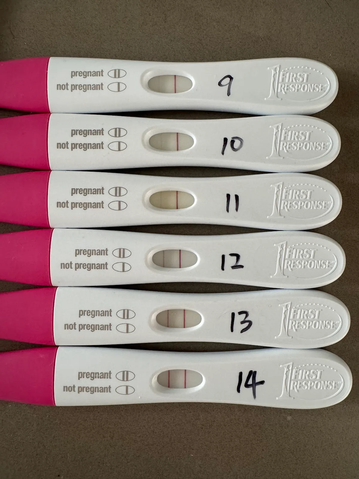 Adora Fertility Perth — photo 5