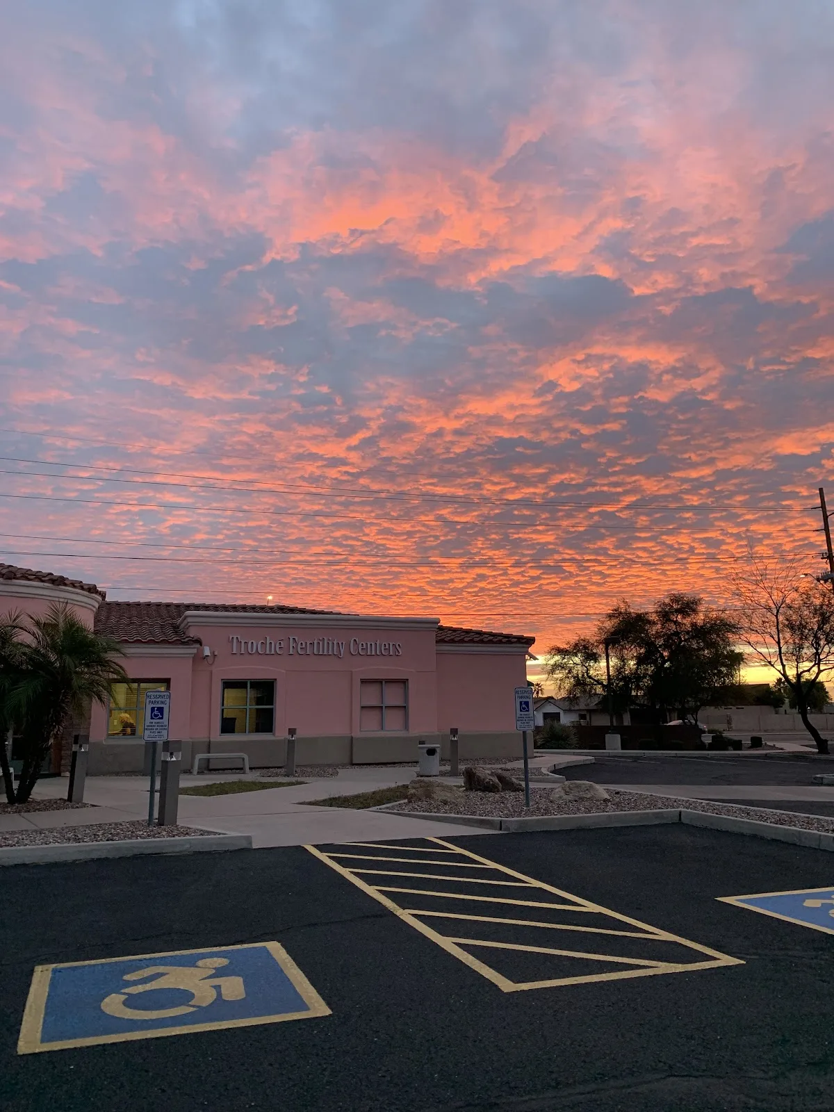 Advanced Fertility Care — photo 2