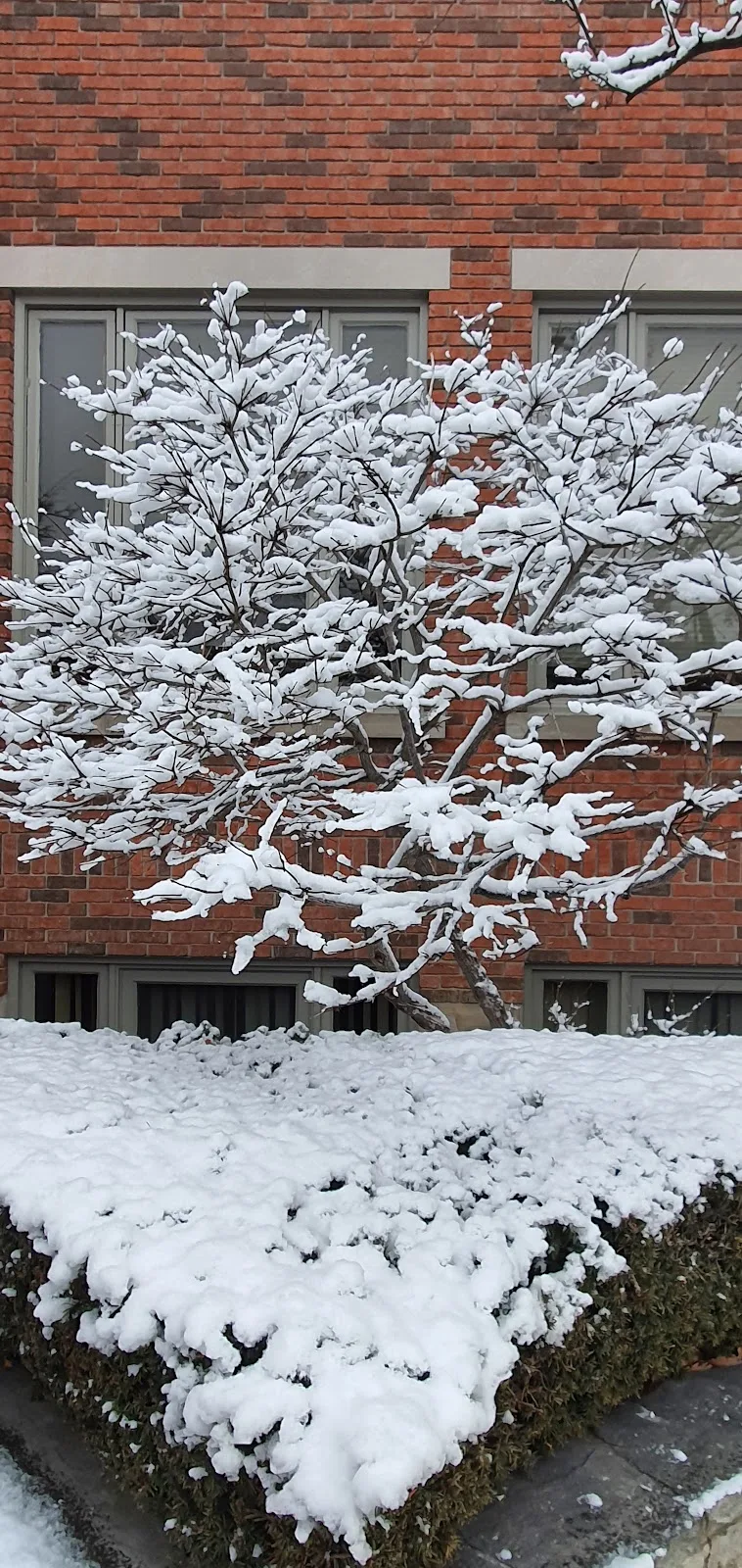 Astra Fertility Clinic — photo 3