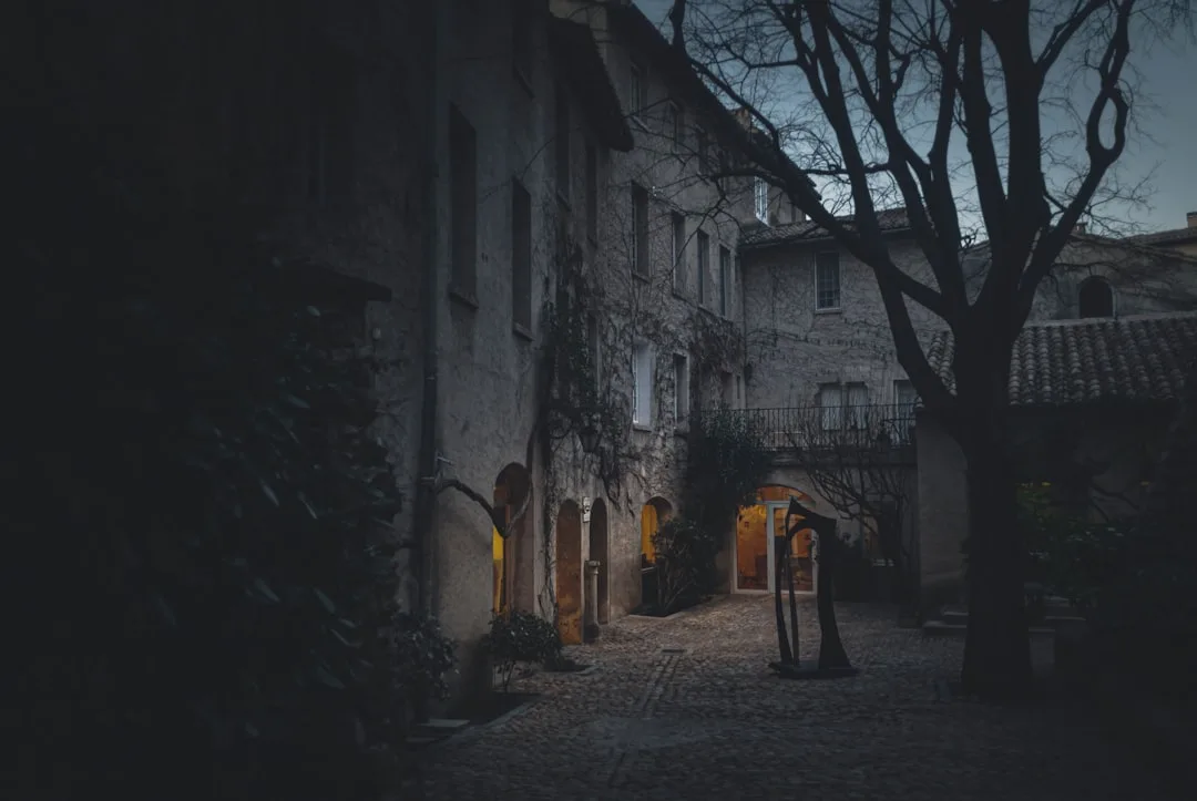 Avignon