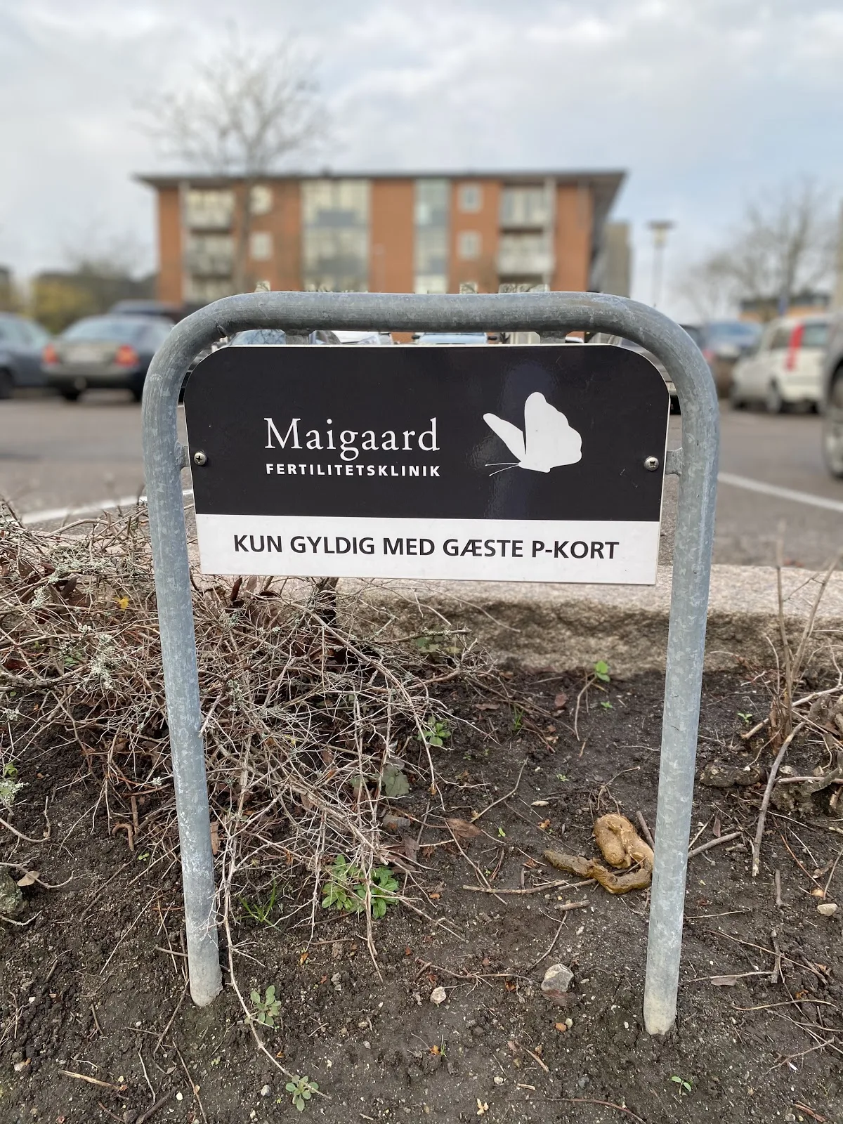 Bay Gynækologisk Klinik — photo 5