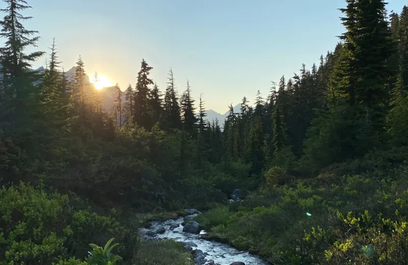 Bellingham