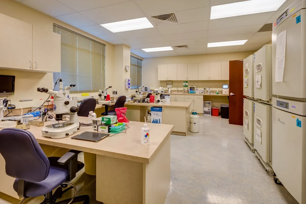 CCRM Fertility of Lone Tree — photo 5