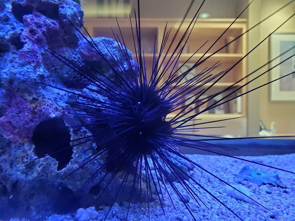 CReATe Fertility Centre — photo 5