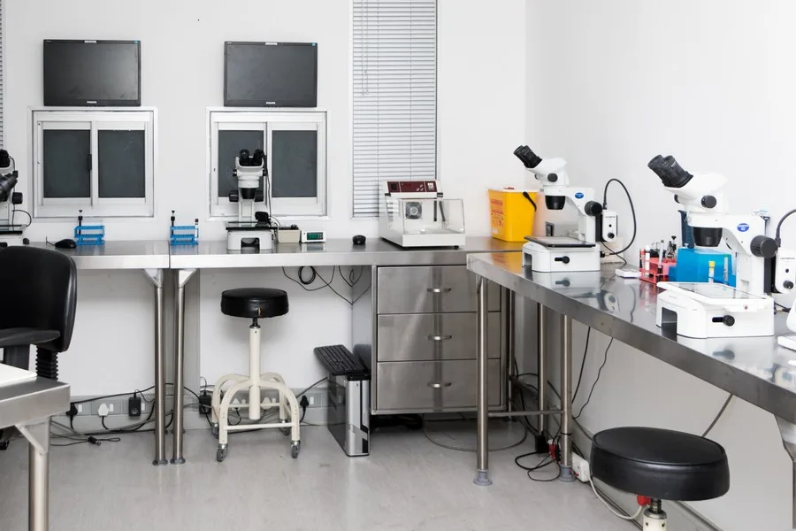 Cape Fertility — photo 2