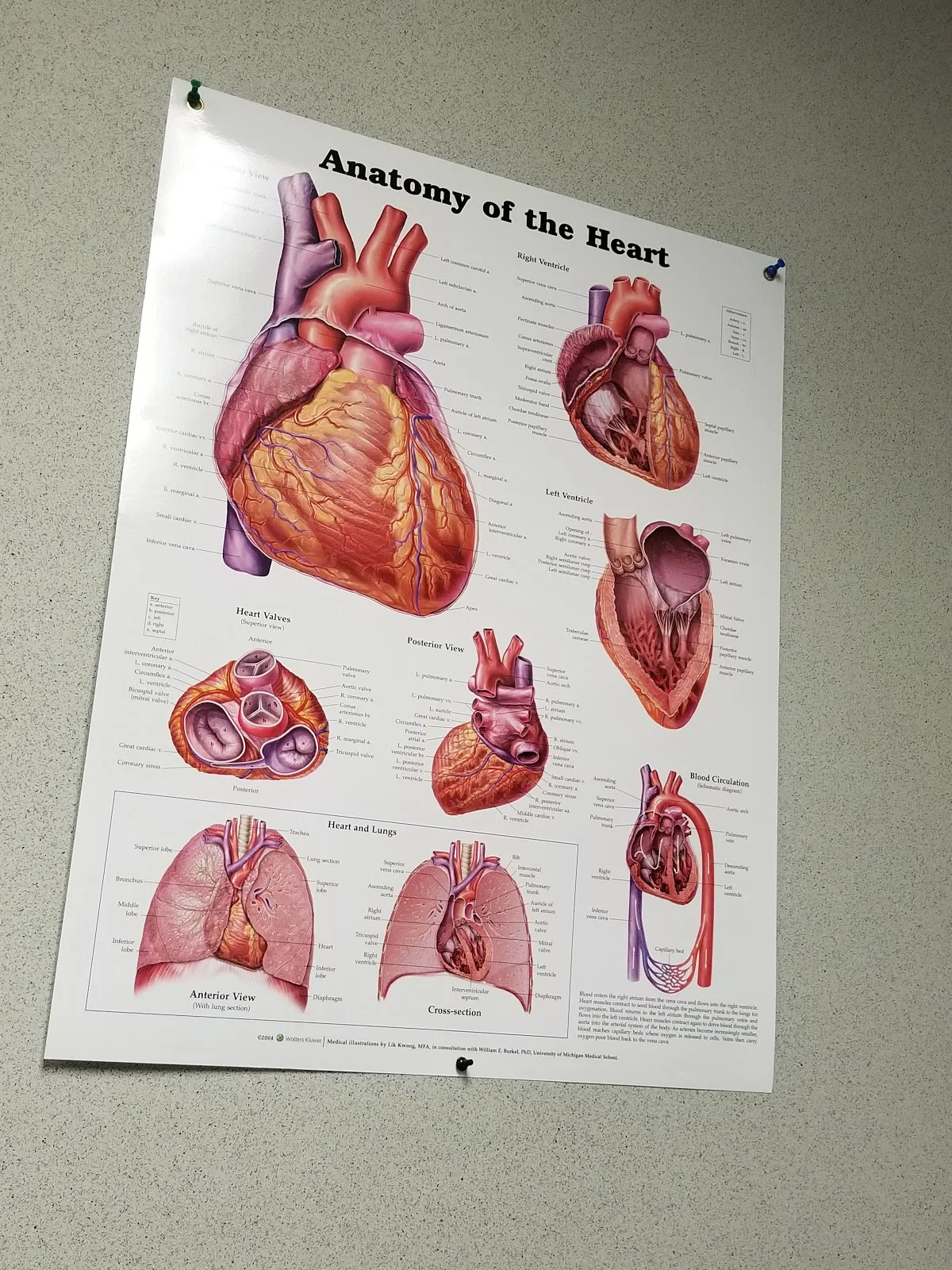 Caperton Fertility Institute — photo 5