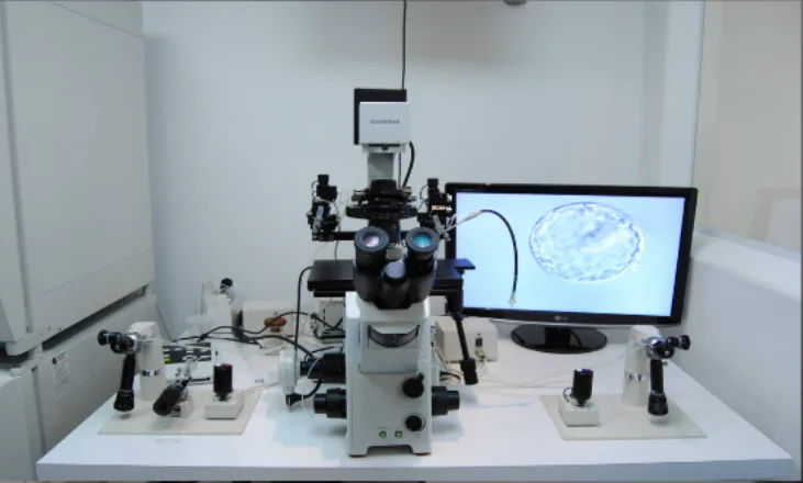 Centro de Fertilidad del Prado — photo 2