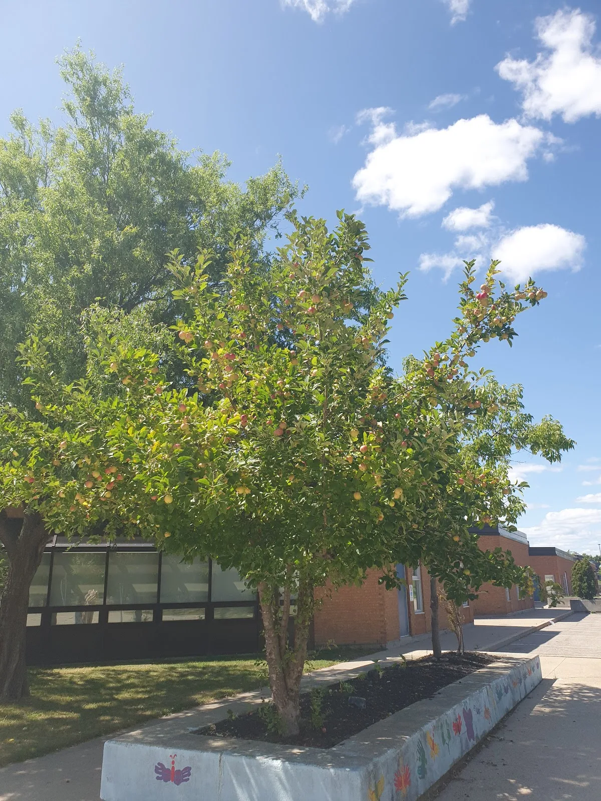 Charm Fertility Oakville — photo 5