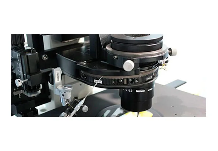 Clibur Reproducción — photo 5