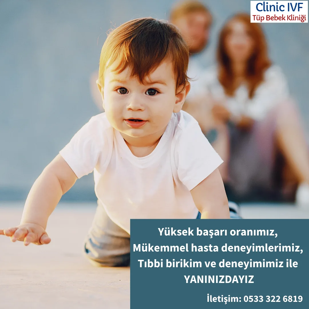Clinic IVF Tüp Bebek Merkezi — photo 4