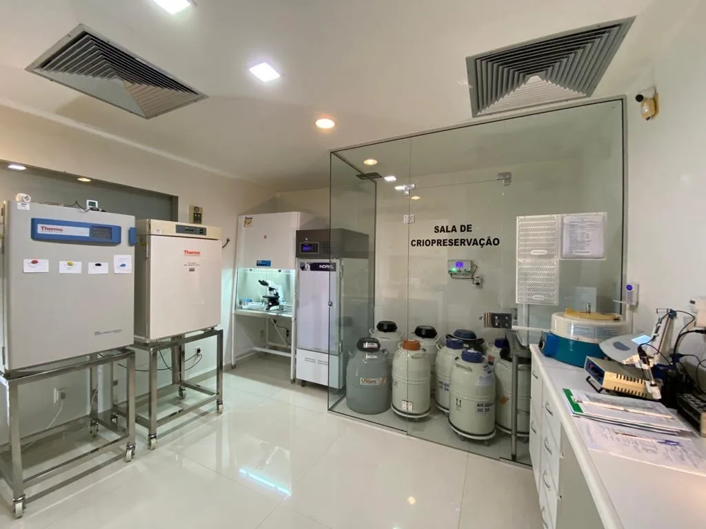 Clínica Biofert Ginecologia e Reprodução Humana — photo 4