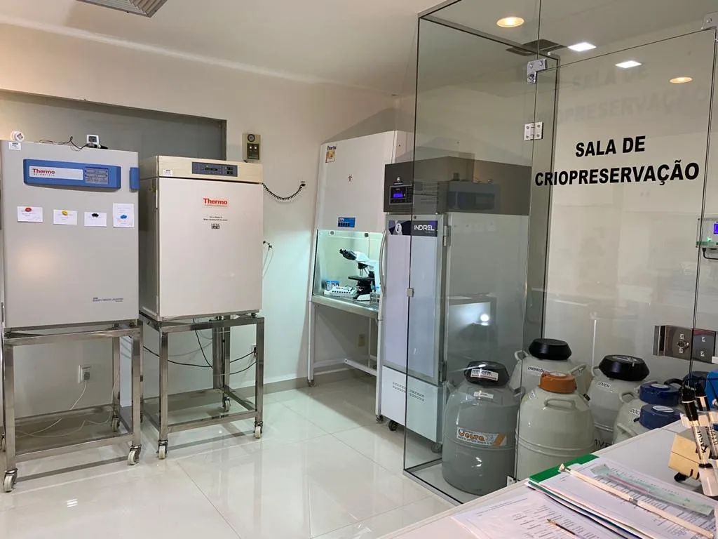 Clínica Biofert Ginecologia e Reprodução Humana — photo 5