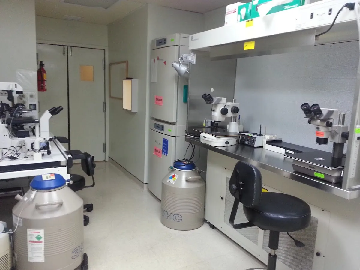 Clínica de Fertilidad GREFI (Gynecology Reproductive Endocrinology Fertility Institute) — photo 2