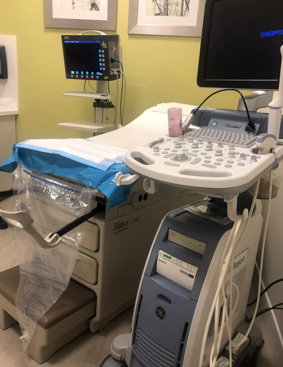 Conceptions Florida — photo 2