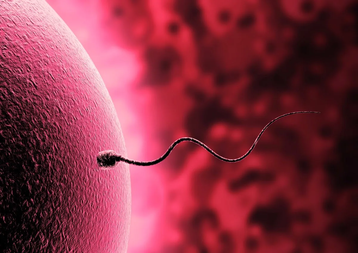 EasyFIV Barcelona - Clínica de fertilitat i Reproducció Asistida