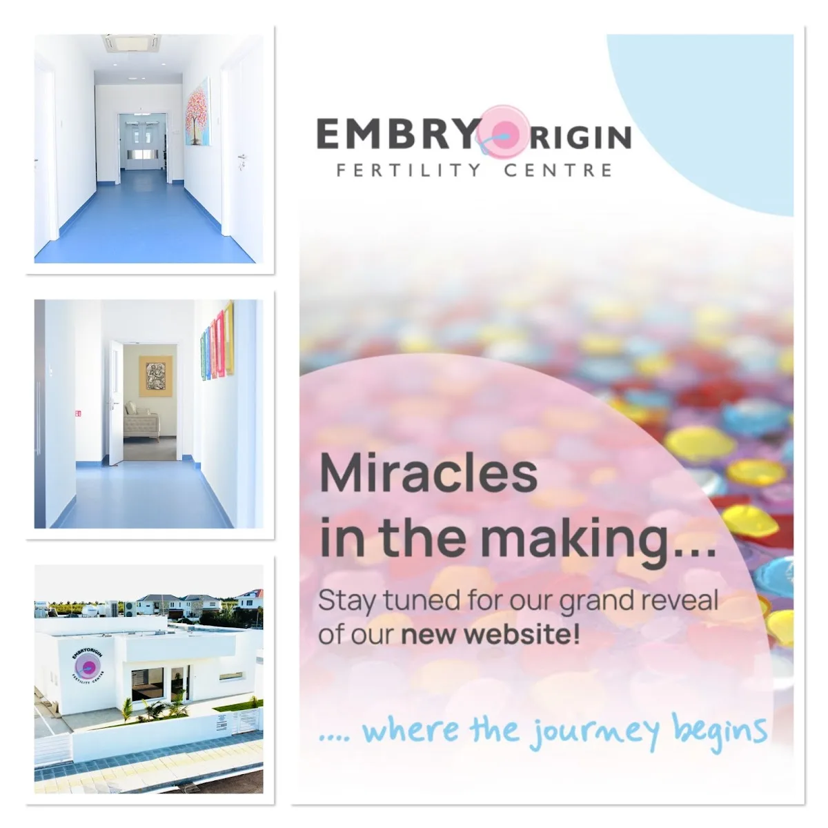 Embryorigin — photo 3