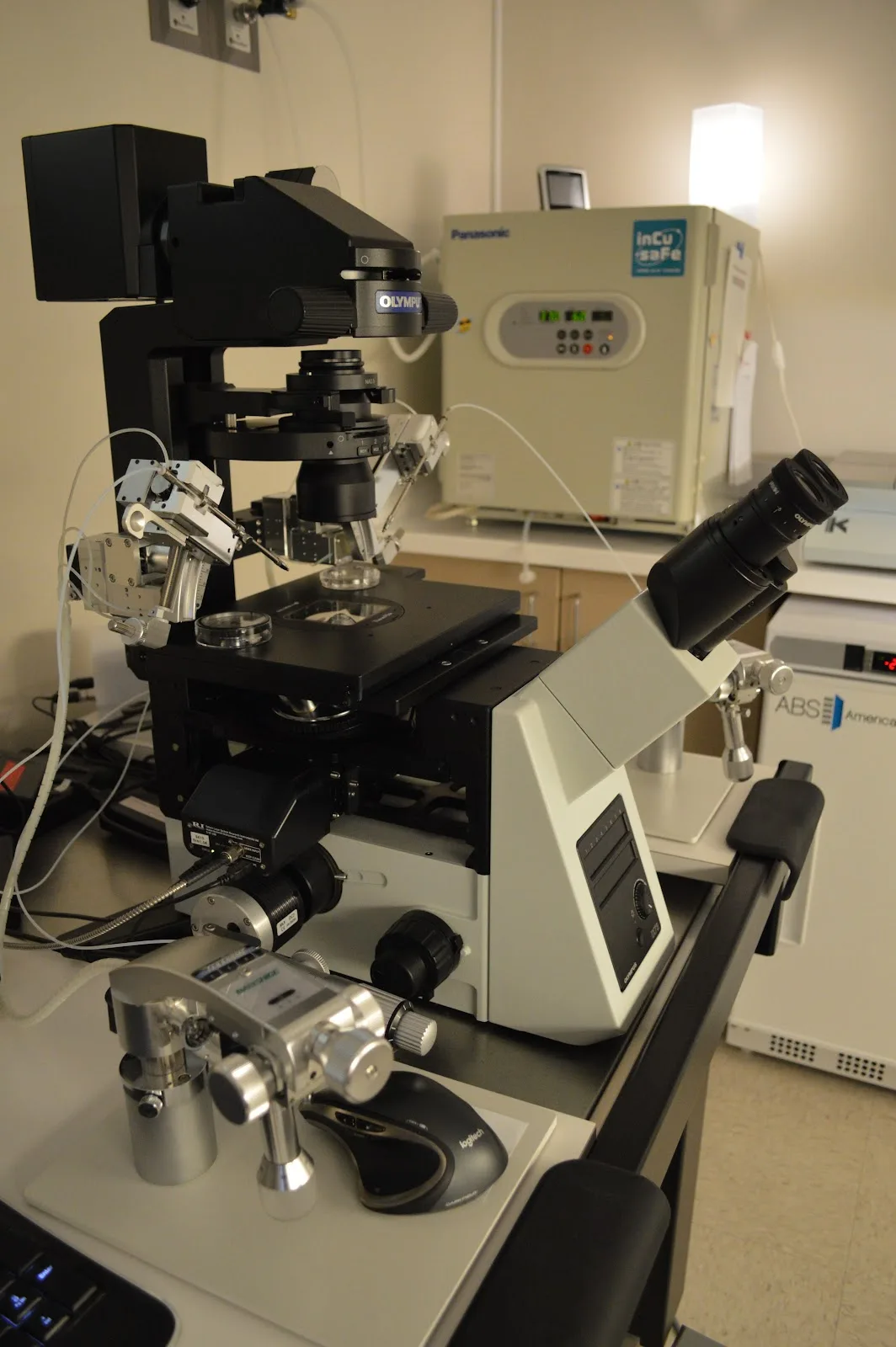 F.I.R.S.T. IVF &amp; Egg Bank/Minna Ruth Selub, M.D. — photo 2