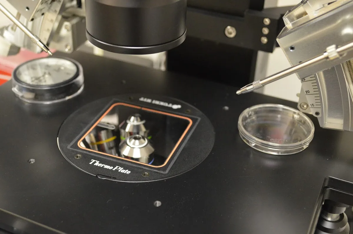 F.I.R.S.T. IVF &amp; Egg Bank/Minna Ruth Selub, M.D. — photo 3