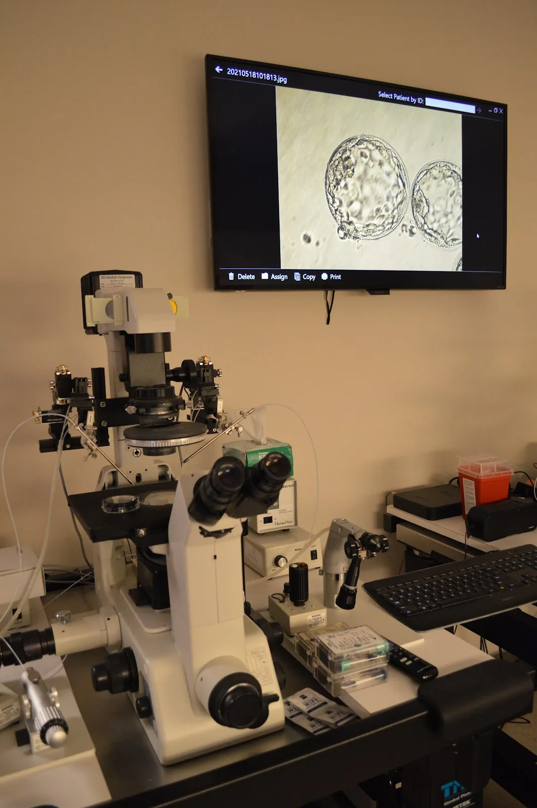 F.I.R.S.T. IVF &amp; Egg Bank/Minna Ruth Selub, M.D. — photo 5