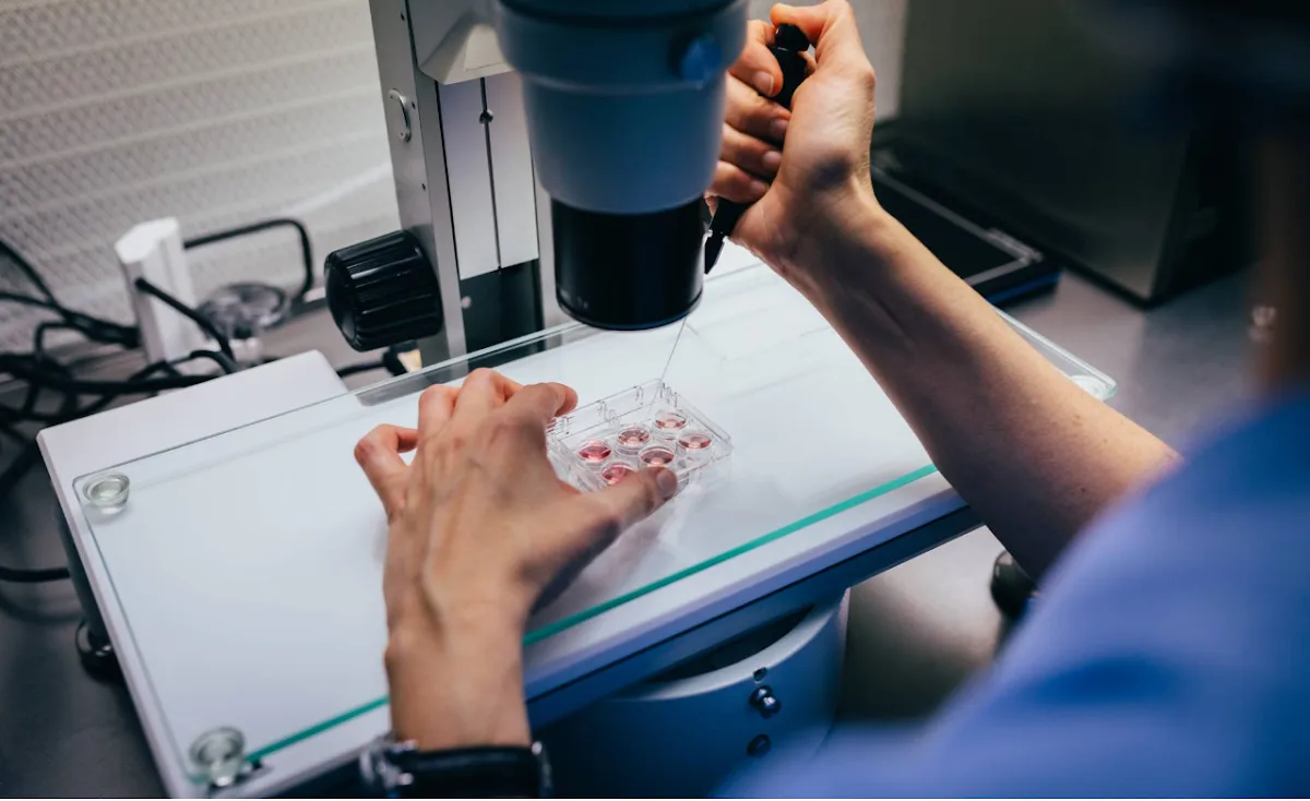 FIVclínic — photo 5