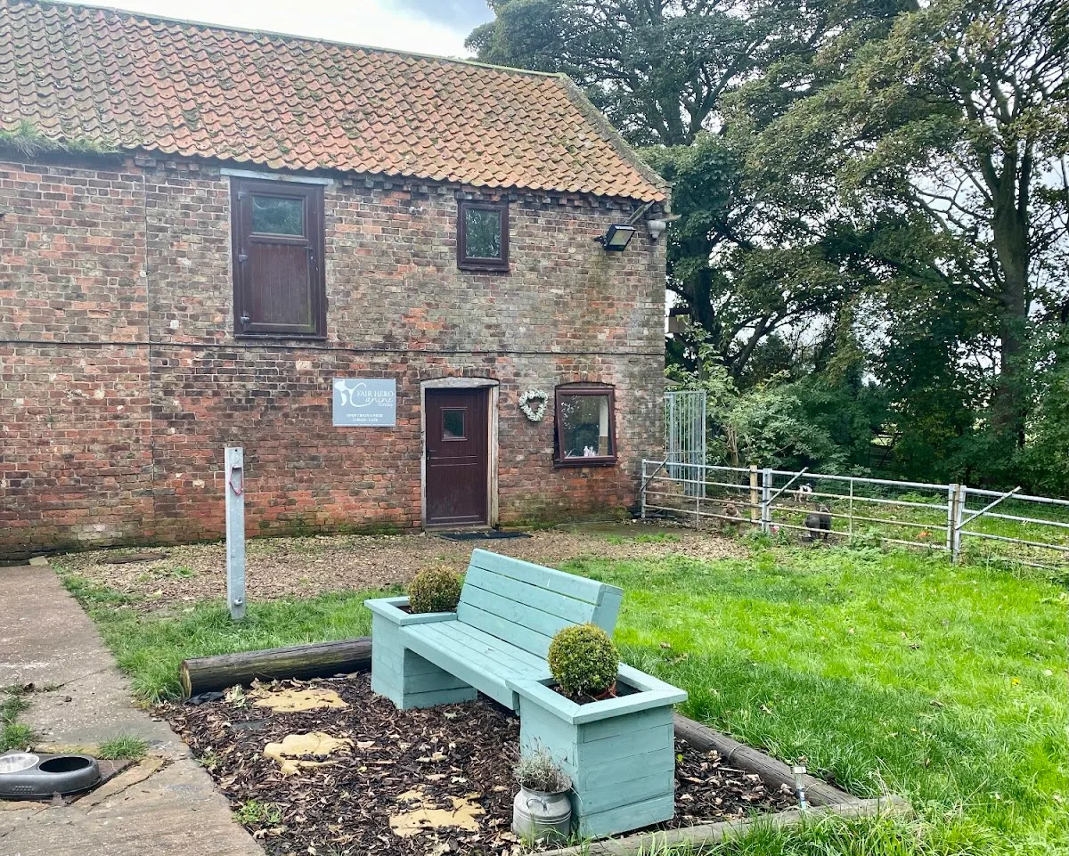 Fair Hero Canine Fertility — photo 4