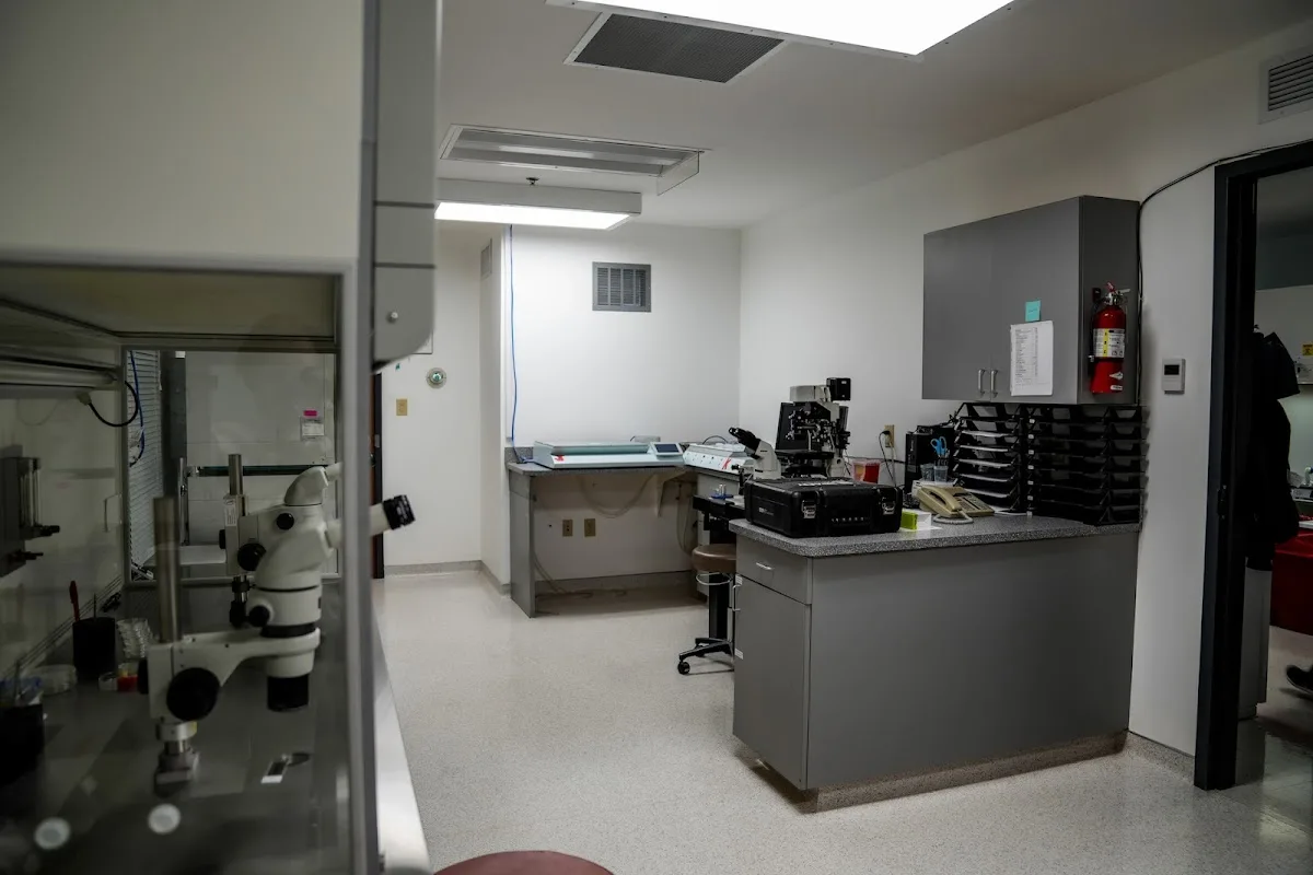 Fertility & Endocrine Associates — photo 2