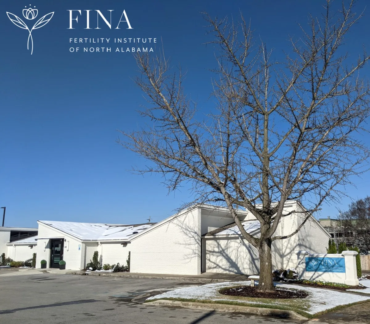 Fertility Institute of North Alabama — photo 2