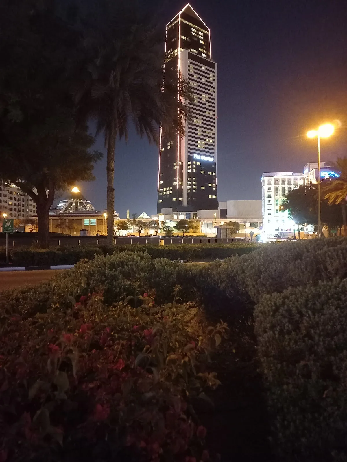 First IVF and Day Surgery Centre — photo 5