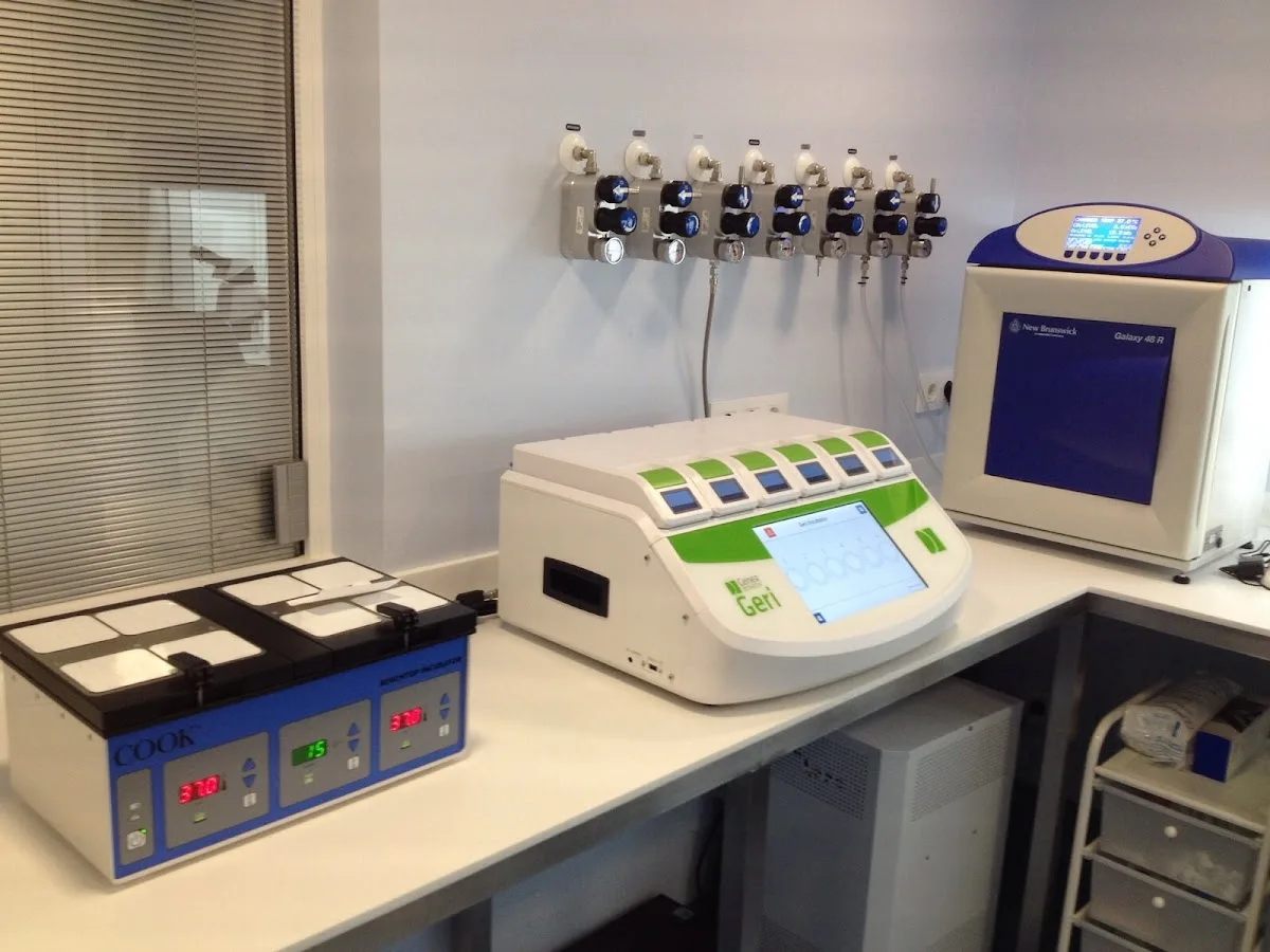 Ginemed - FIV4 Oviedo, Clínica de Reproducción Asistida y Fertilidad — photo 3